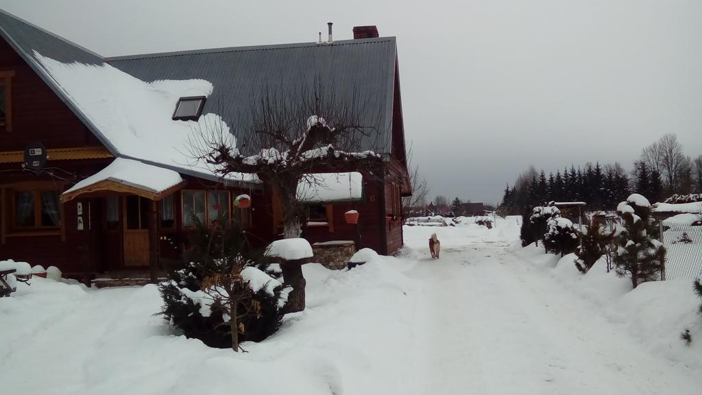 Olsik Apartment Bialowieza Luaran gambar