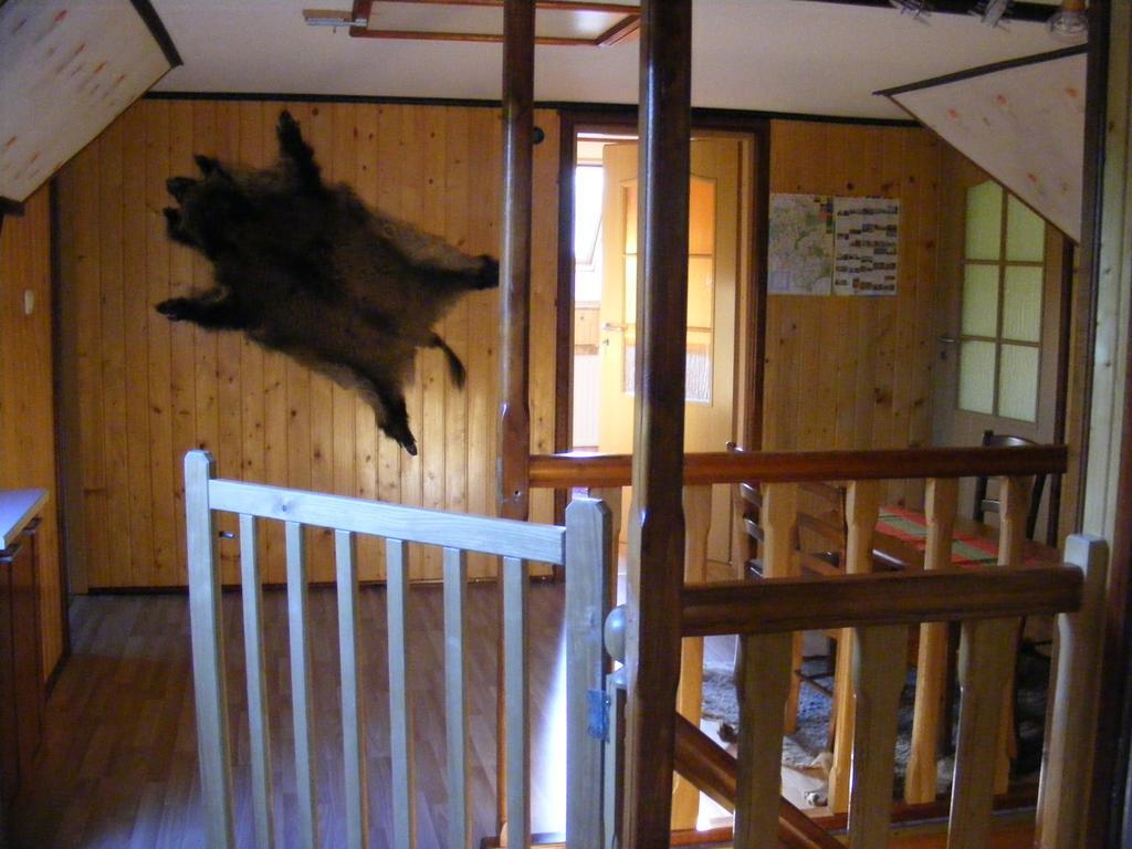 Olsik Apartment Bialowieza Luaran gambar