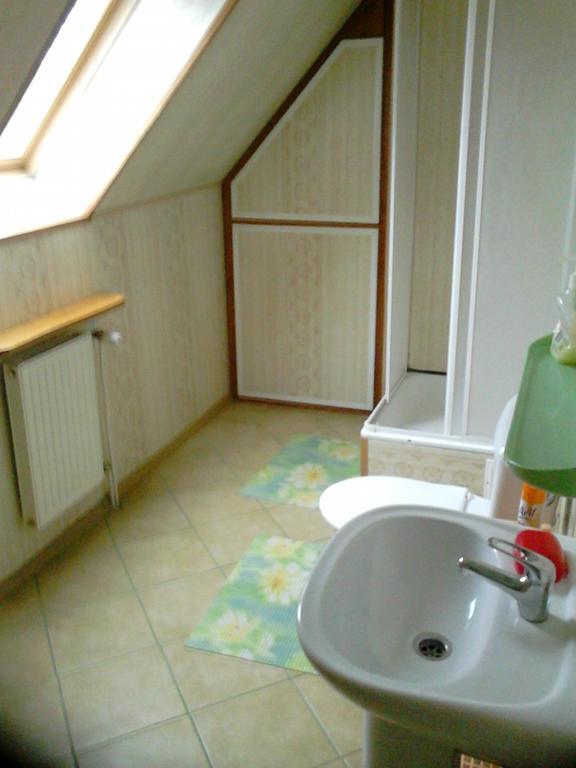 Olsik Apartment Bialowieza Luaran gambar
