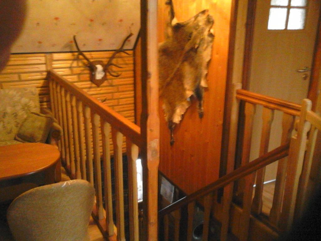 Olsik Apartment Bialowieza Luaran gambar
