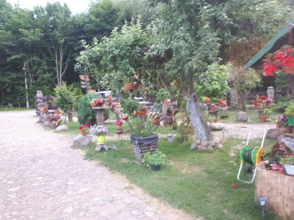 Olsik Apartment Bialowieza Luaran gambar