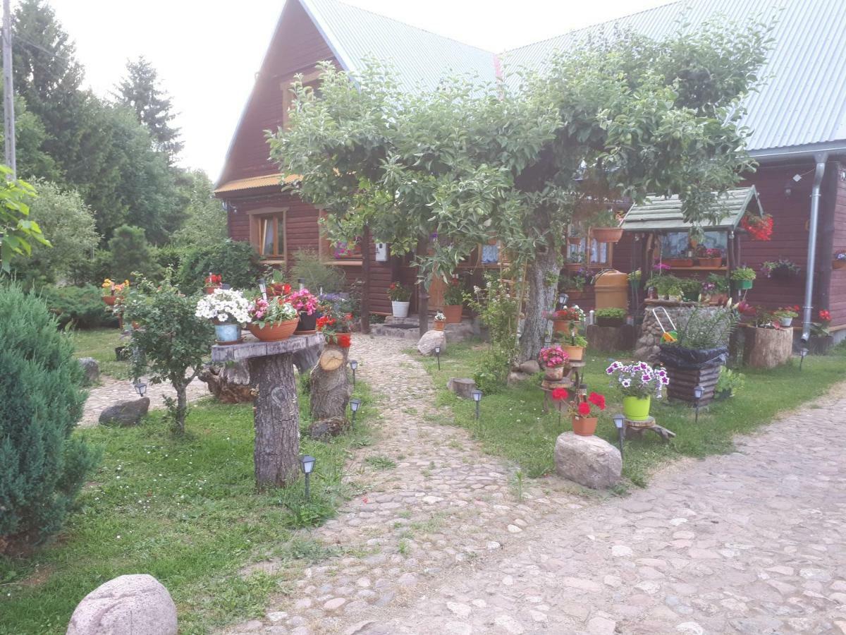 Olsik Apartment Bialowieza Luaran gambar