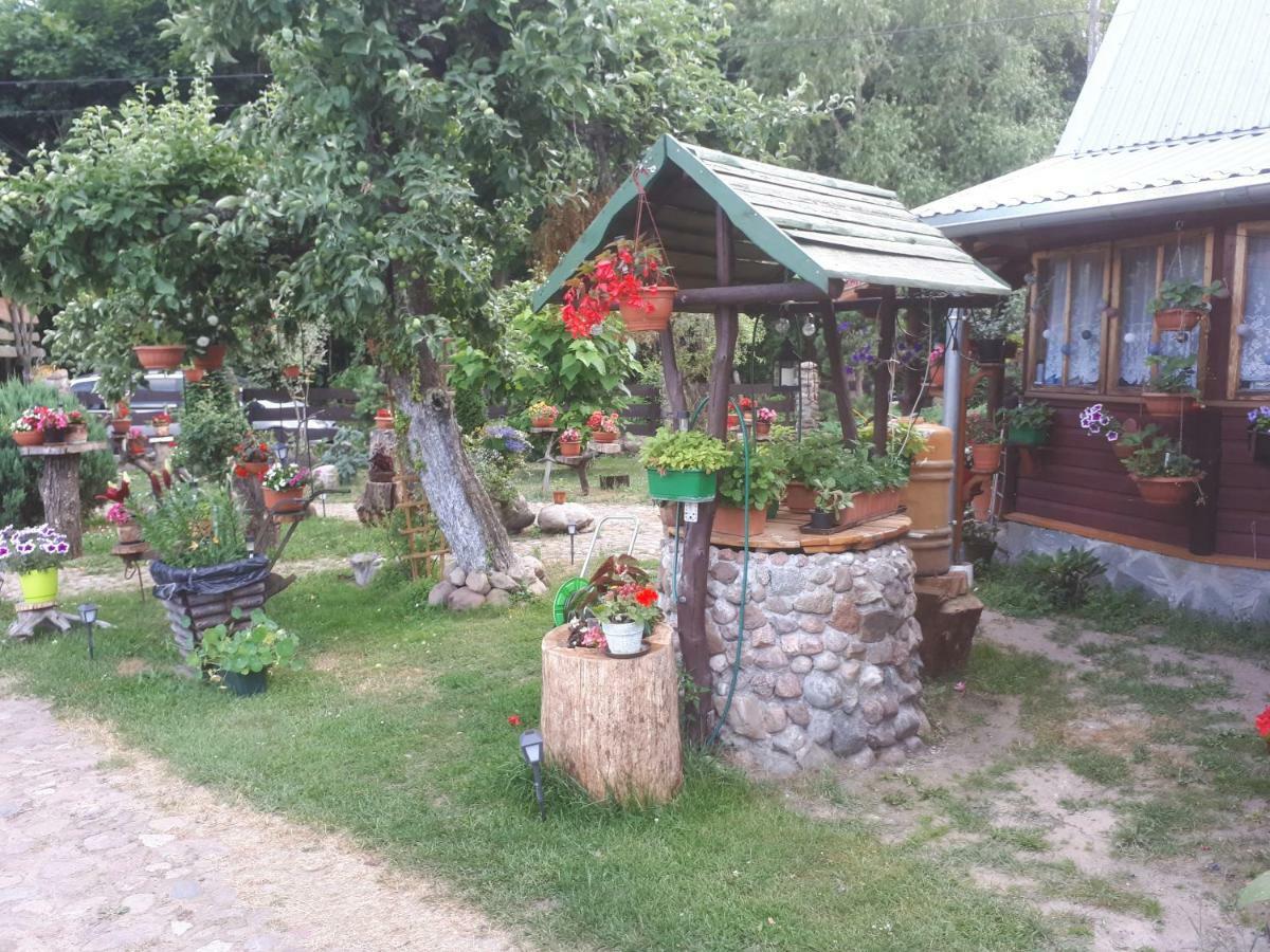Olsik Apartment Bialowieza Luaran gambar